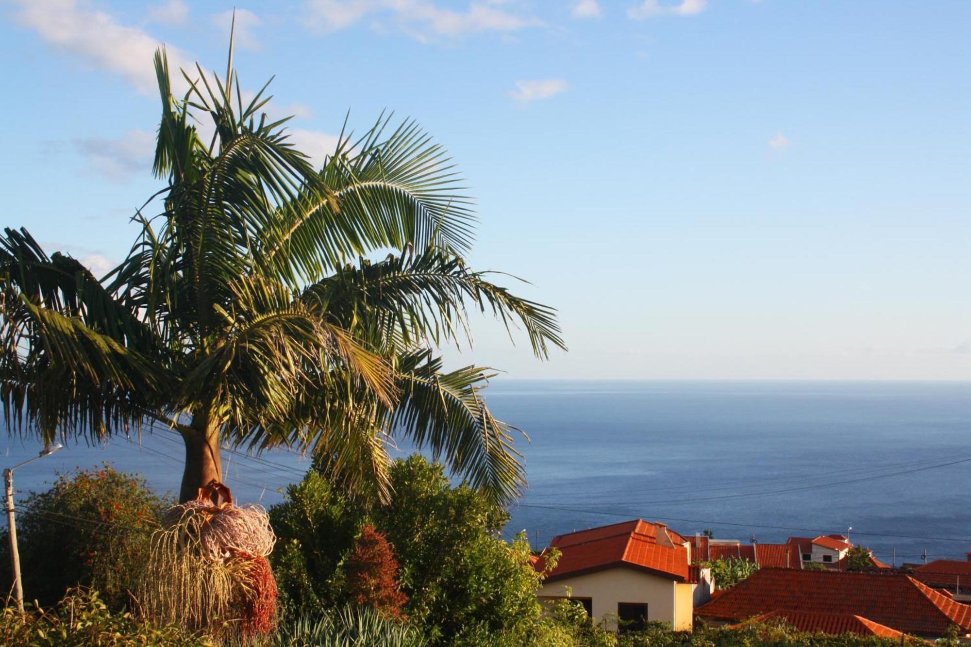 Lugar Dos Louros 2 Apartment Estreito Da Calheta Ngoại thất bức ảnh